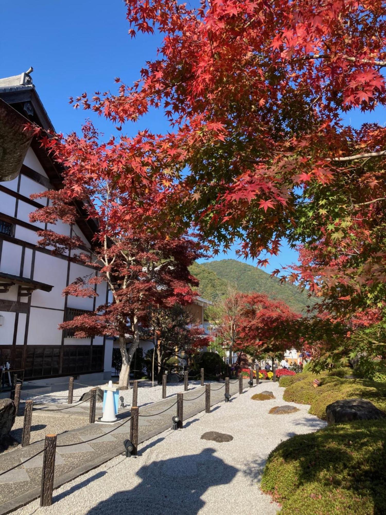 Sky Tree Inn Ⅱ（晴樹宿ⅱ） Tokyo Exterior photo